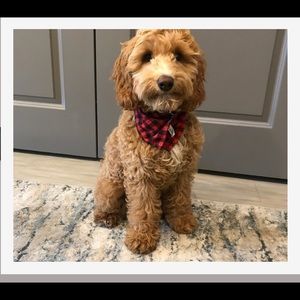 Meet your Posher, Debbie